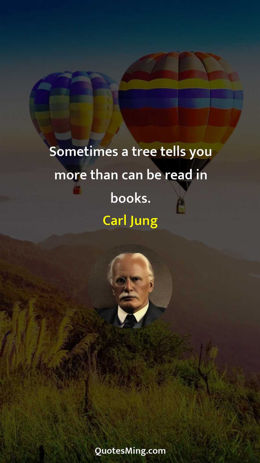 Sometimes a tree tells you more than can be read