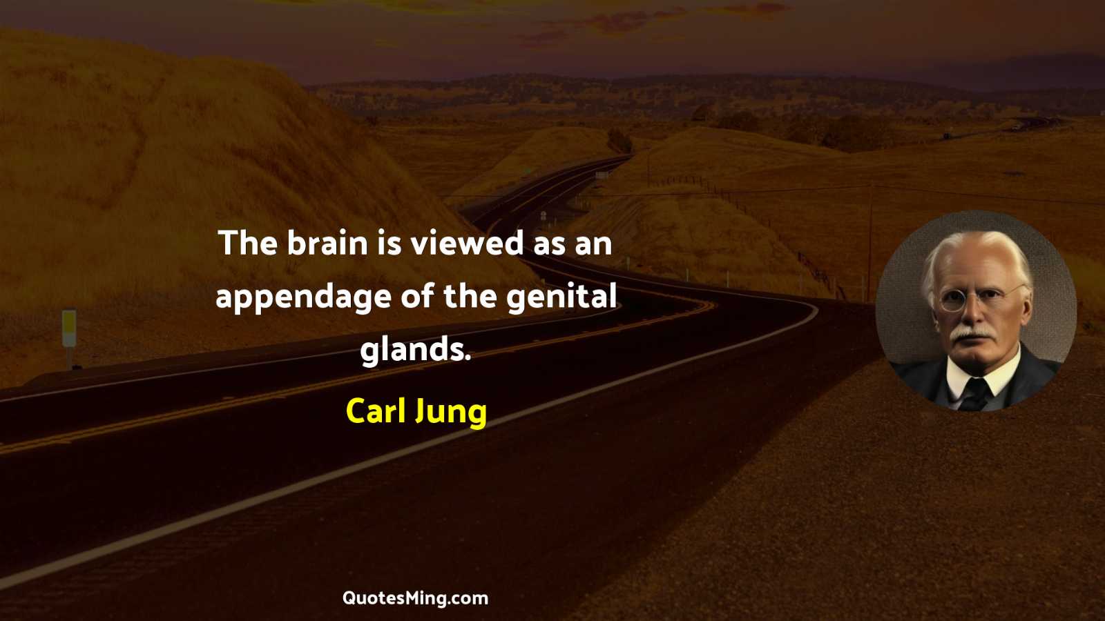 The brain is viewed as an appendage of the genital