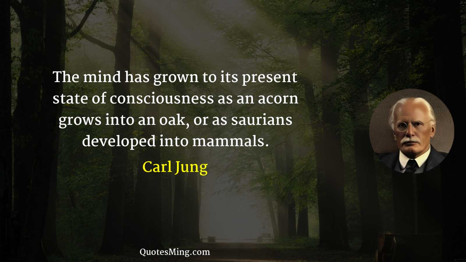 The mind has grown to its present state of consciousness