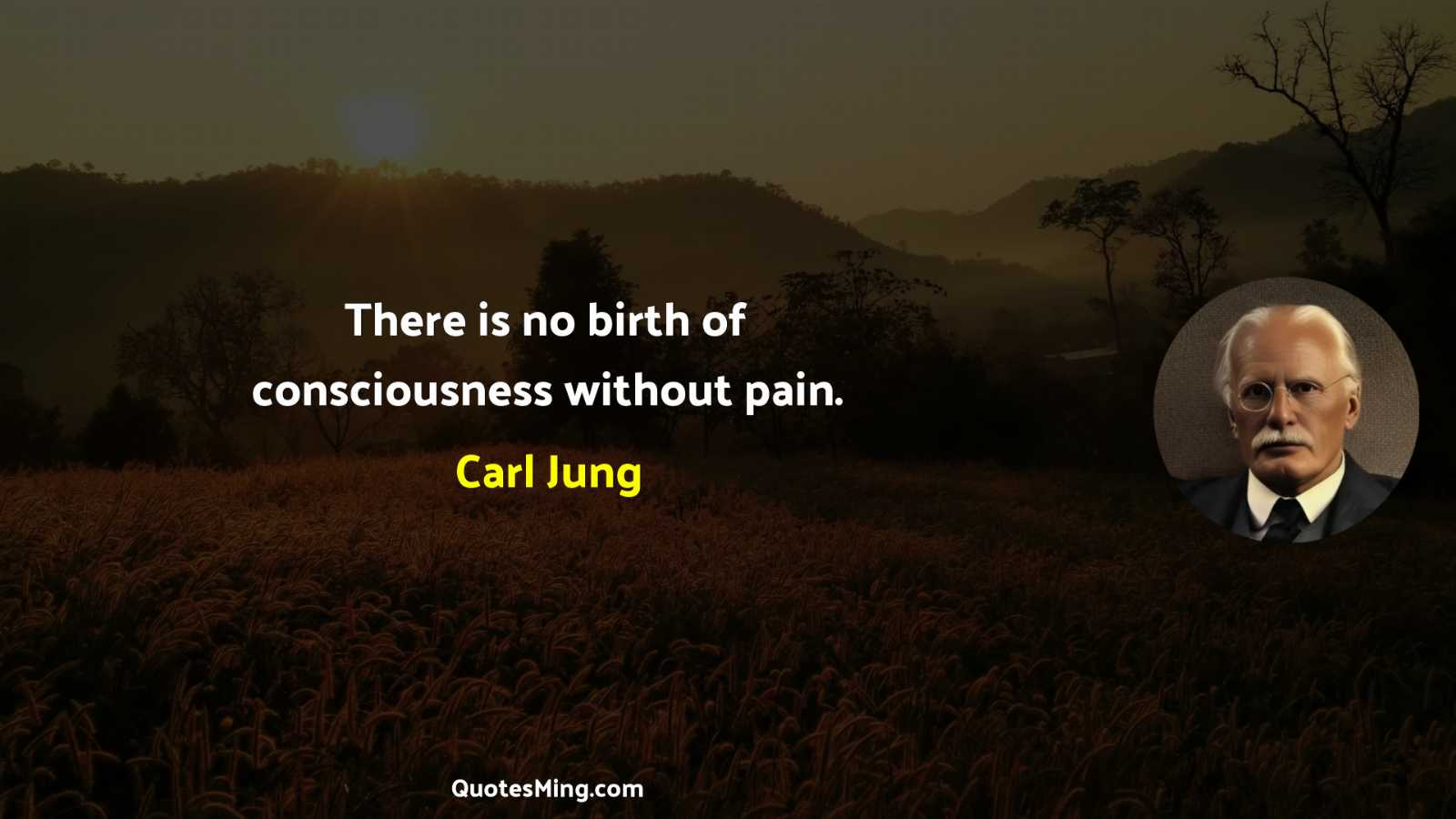 There is no birth of consciousness without pain