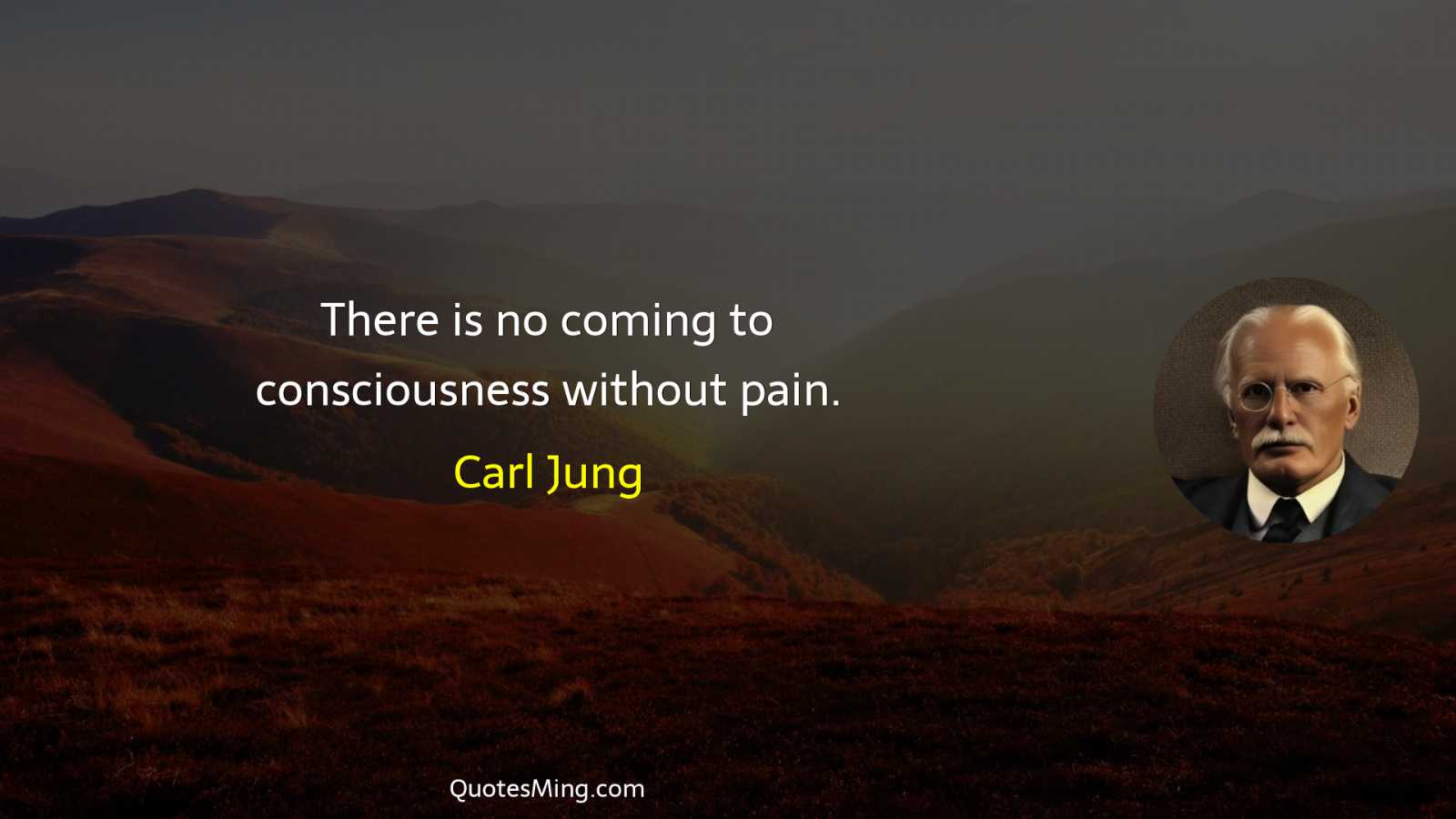 There is no coming to consciousness without pain