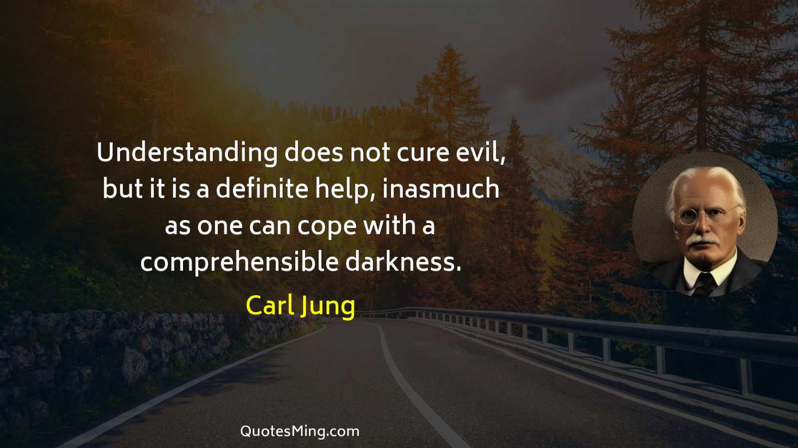 Understanding does not cure evil but it is a definite