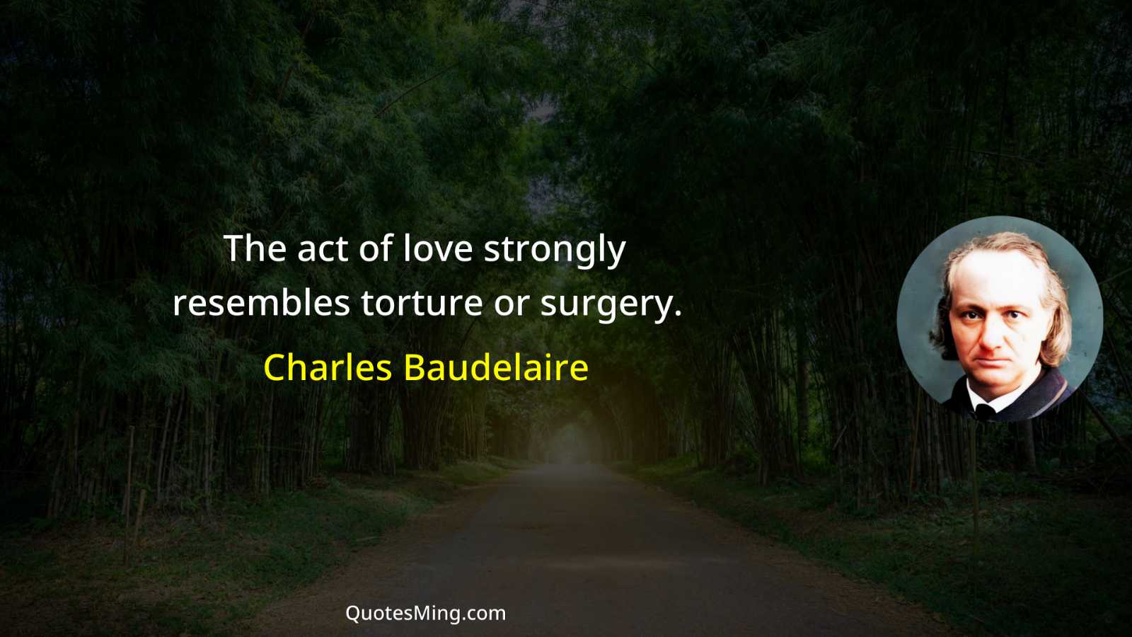 The act of love strongly resembles torture or surgery