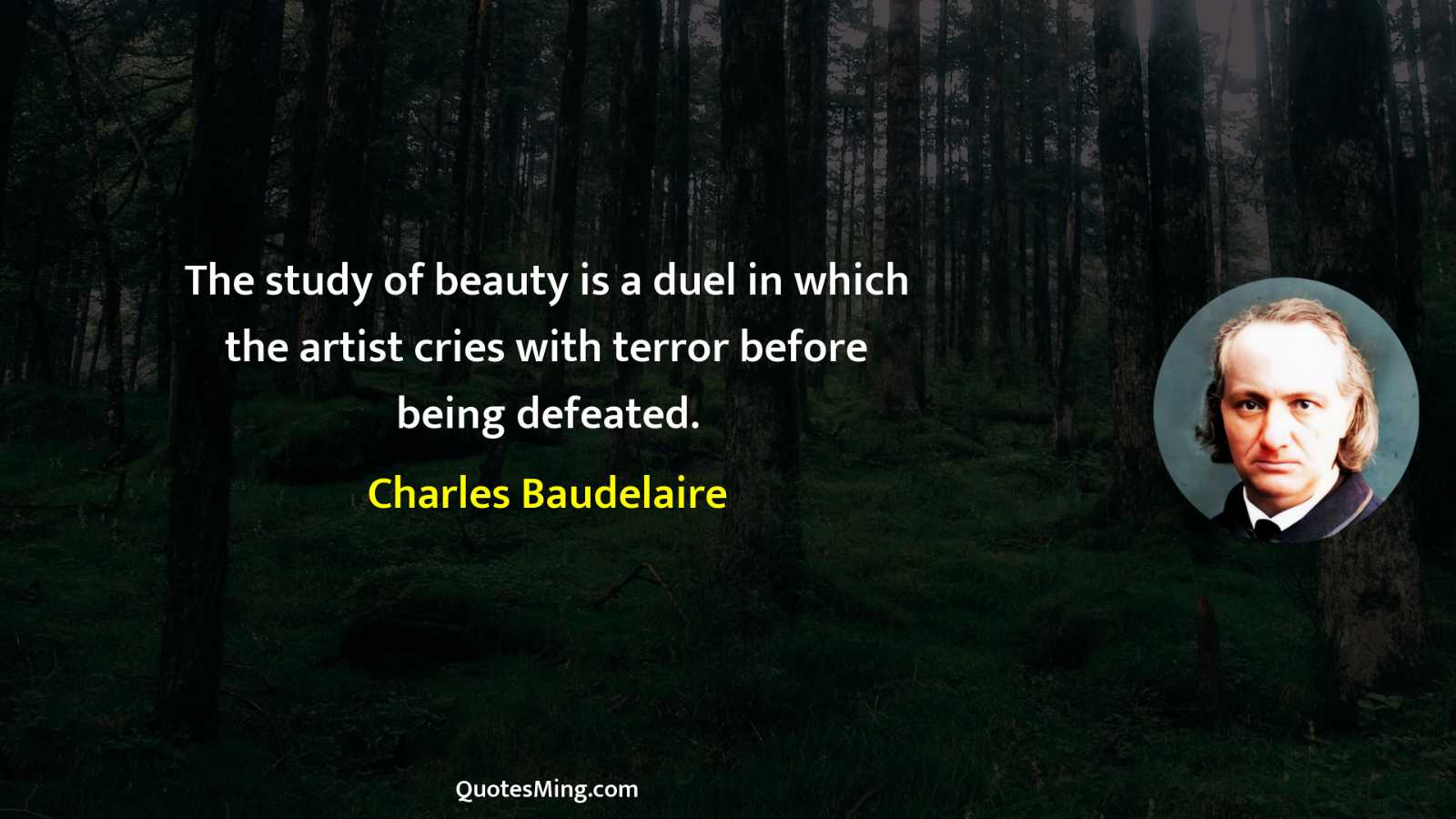 The study of beauty is a duel in which the