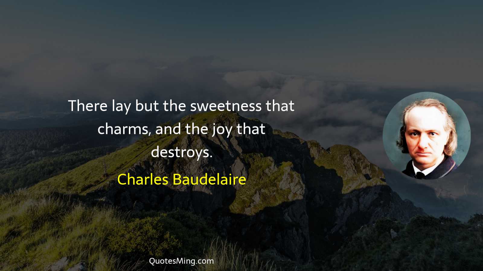 There lay but the sweetness that charms and the joy