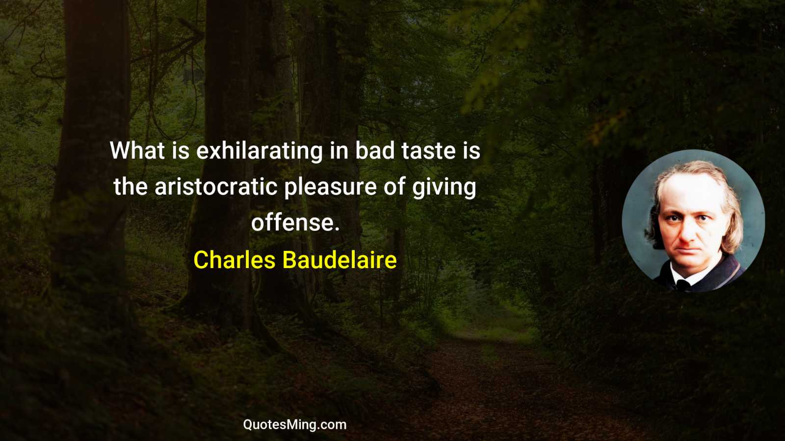 What is exhilarating in bad taste is the aristocratic pleasure