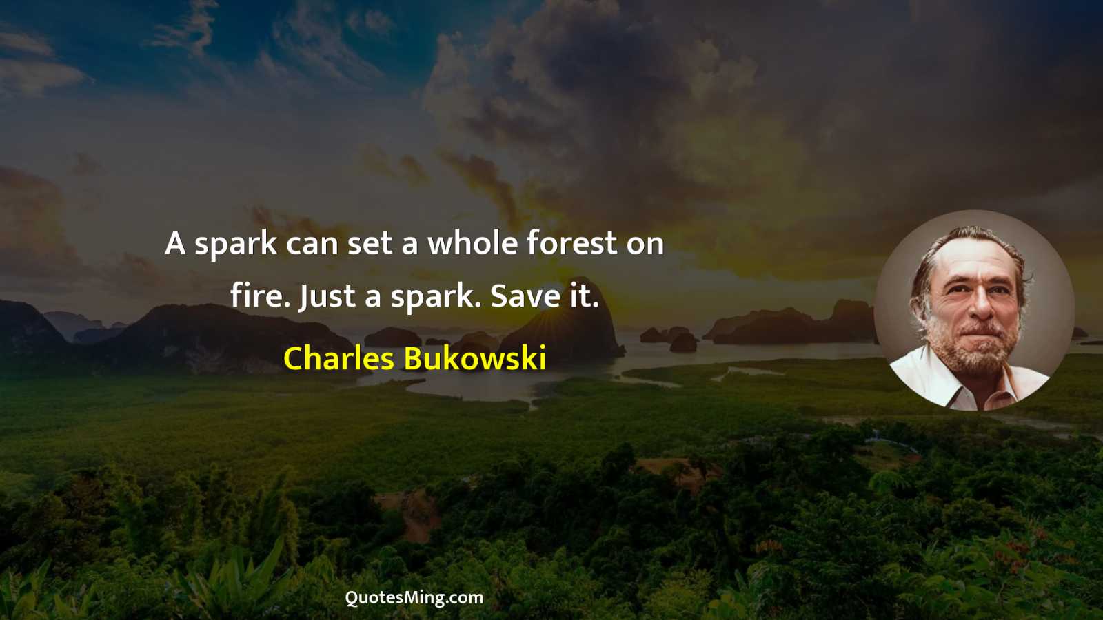 A spark can set a whole forest on fire Just