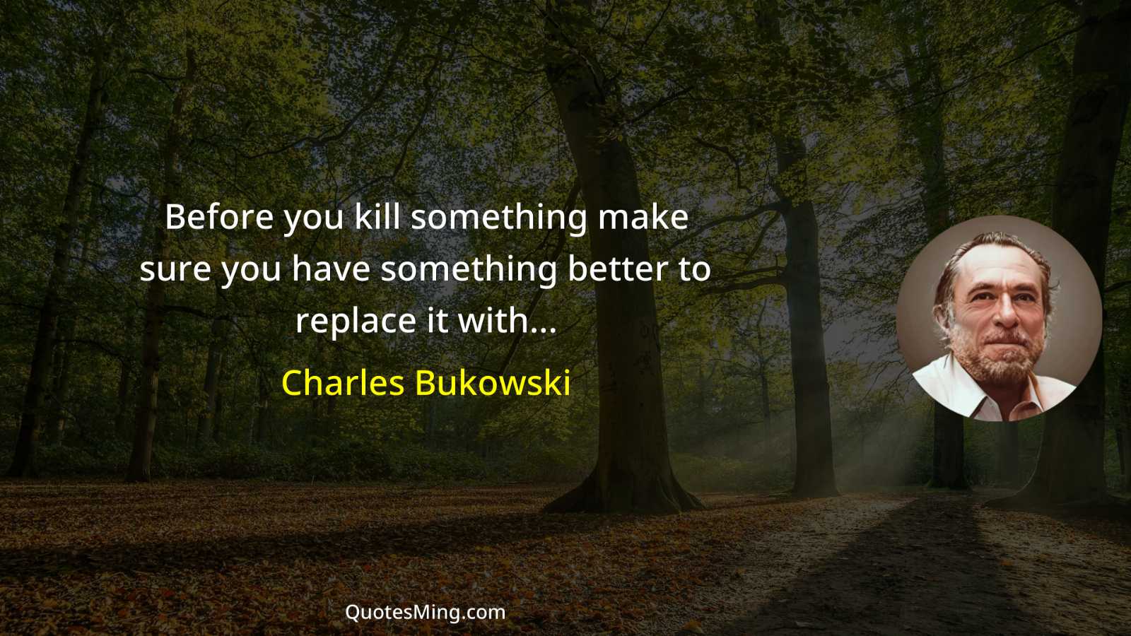 Before you kill something make sure you have something better