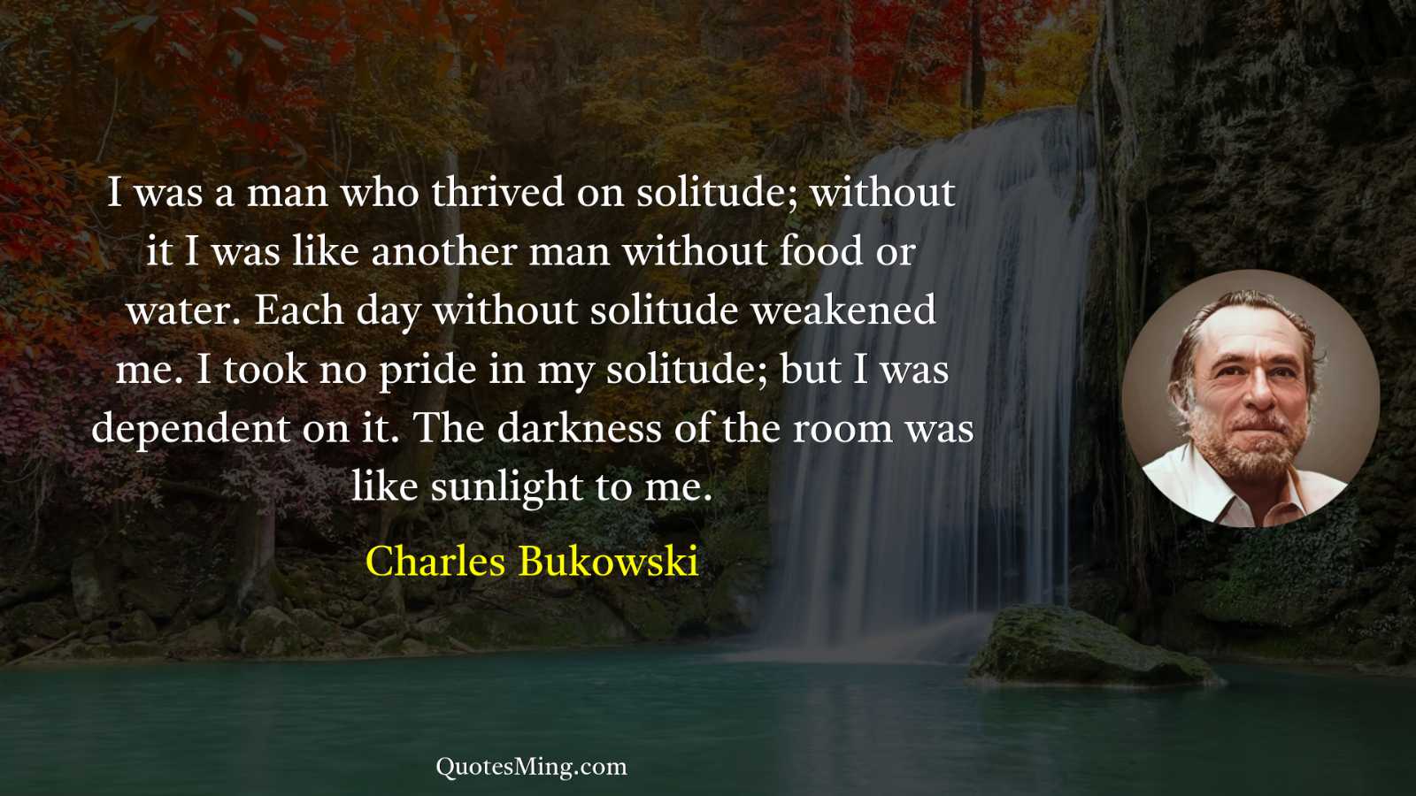 I was a man who thrived on solitude; without it