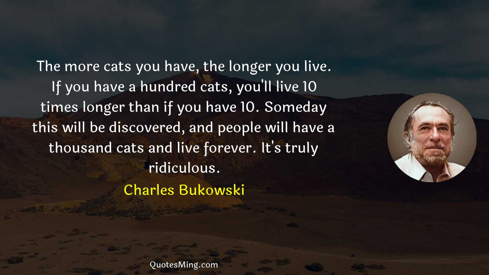 The more cats you have the longer you live If