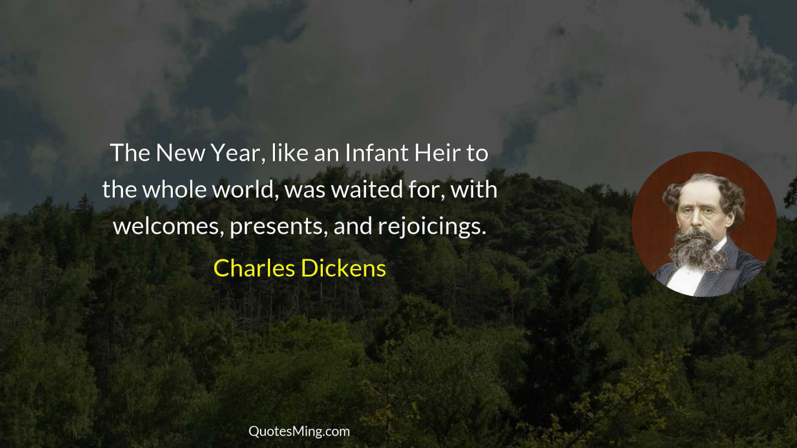 The New Year like an Infant Heir to the whole