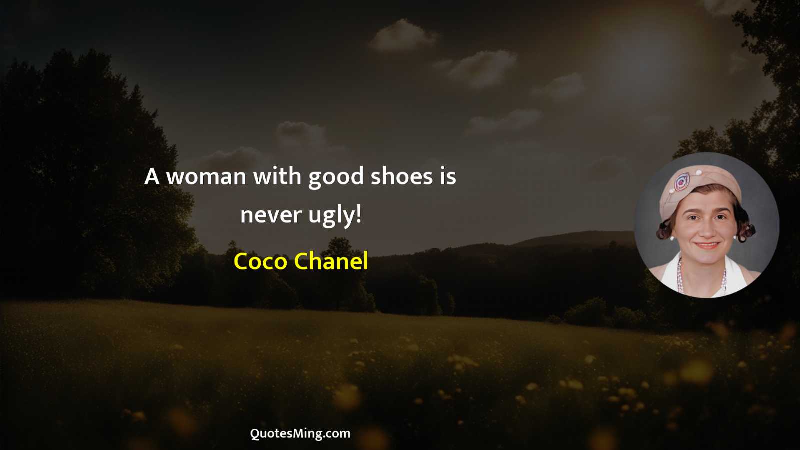 A woman with good shoes is never ugly