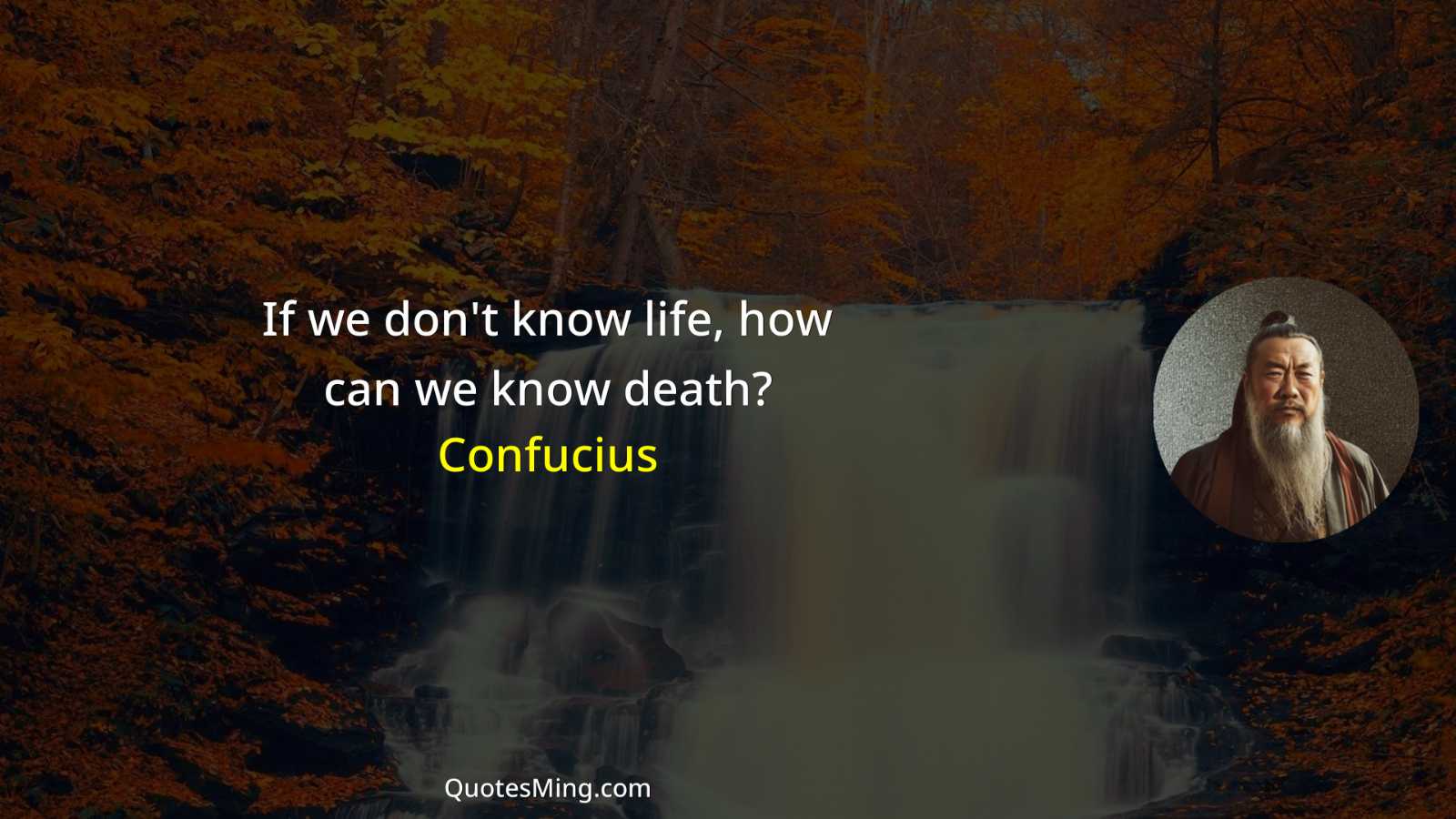 If we don't know life how can we know death?