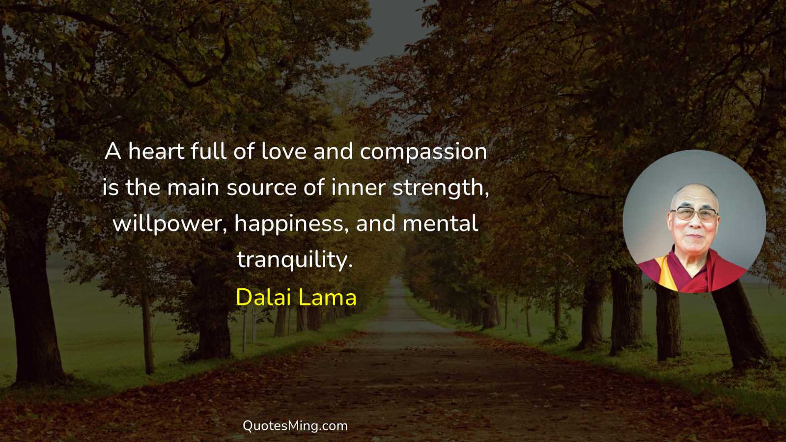 A heart full of love and compassion is the main