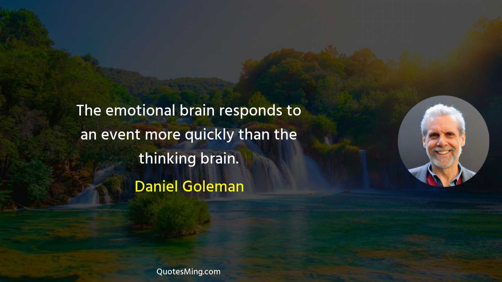 The emotional brain responds to an event more quickly than