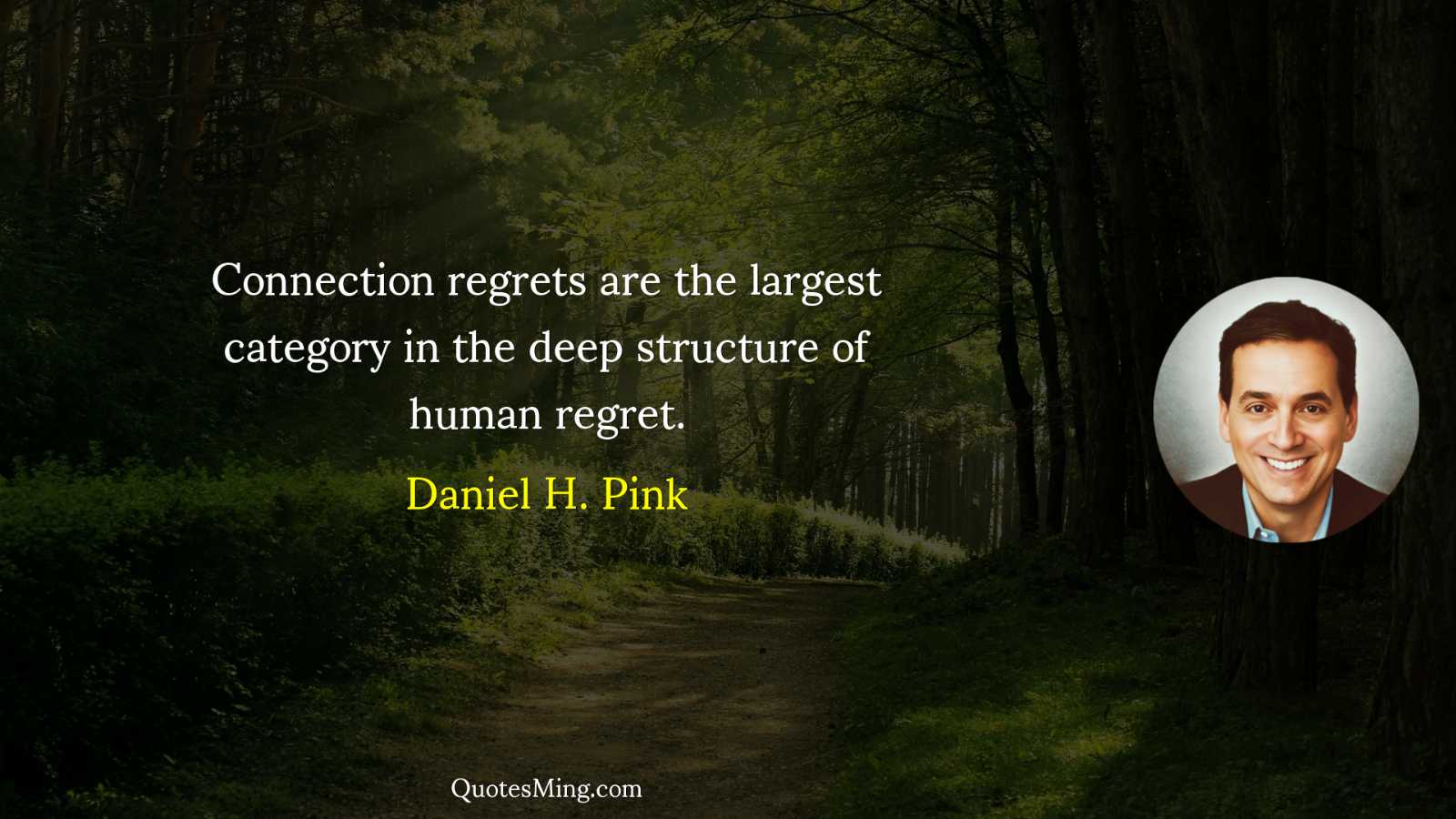 Connection regrets are the largest category in the deep structure