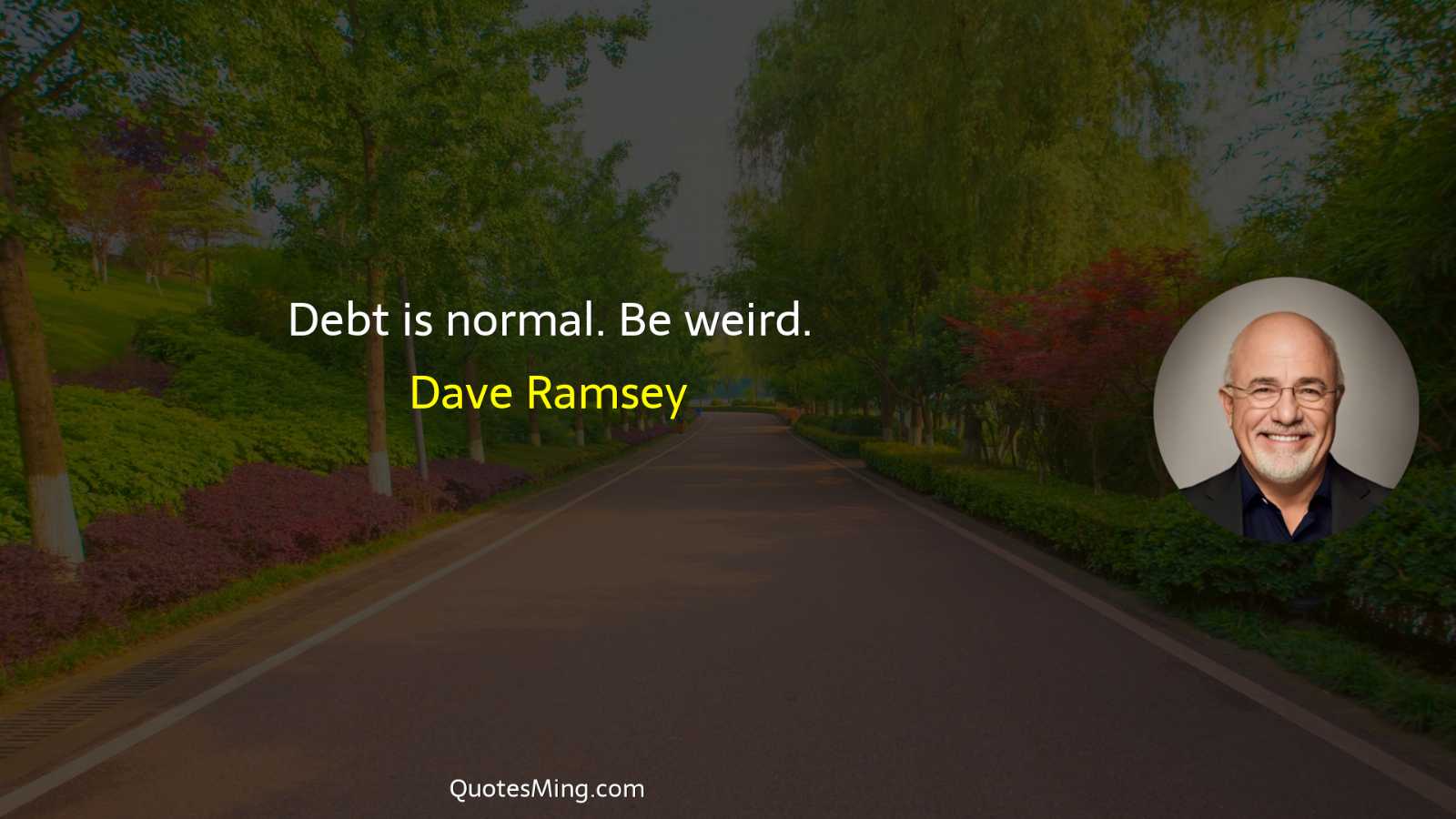 Debt is normal Be weird