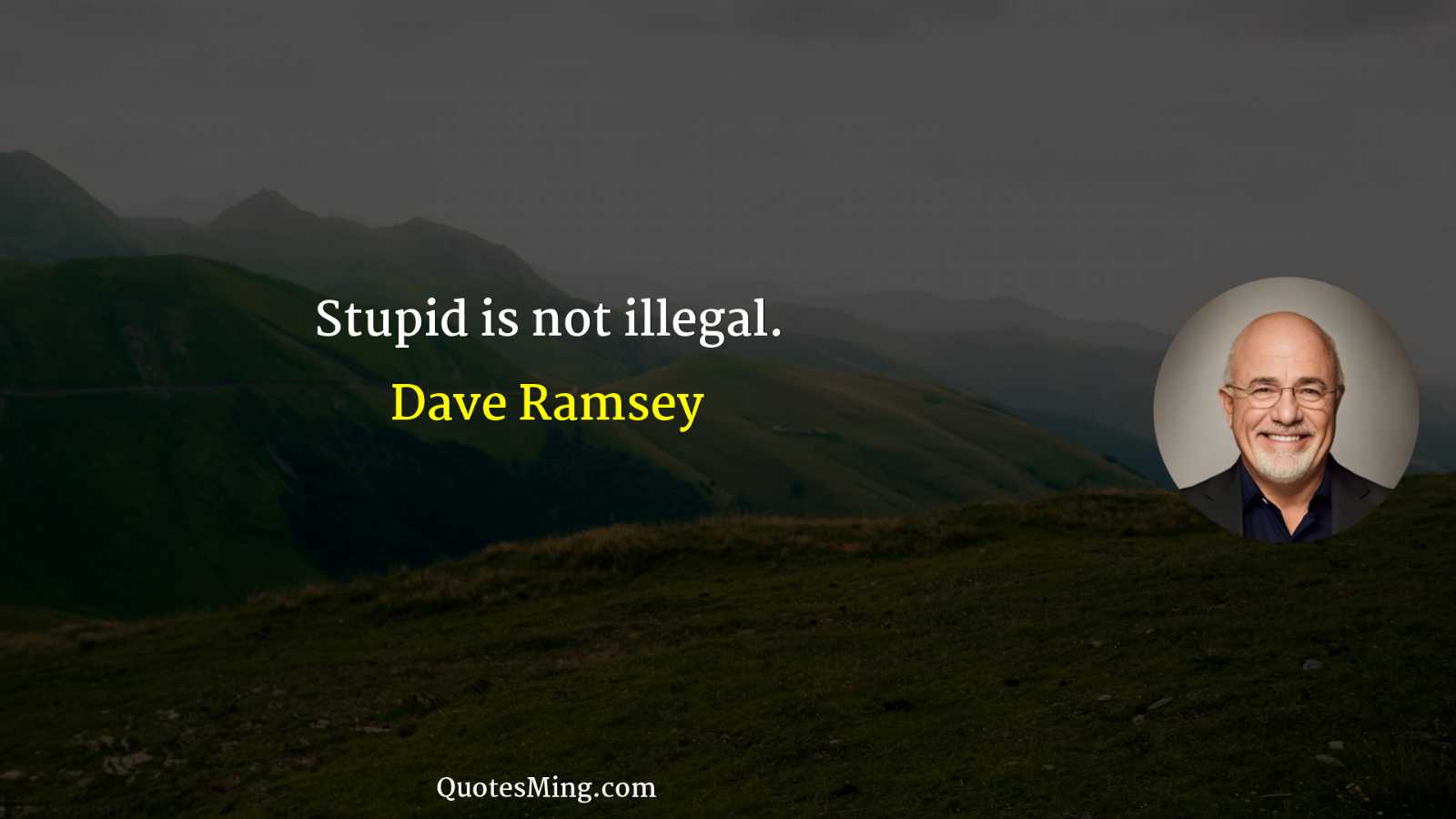 Stupid is not illegal