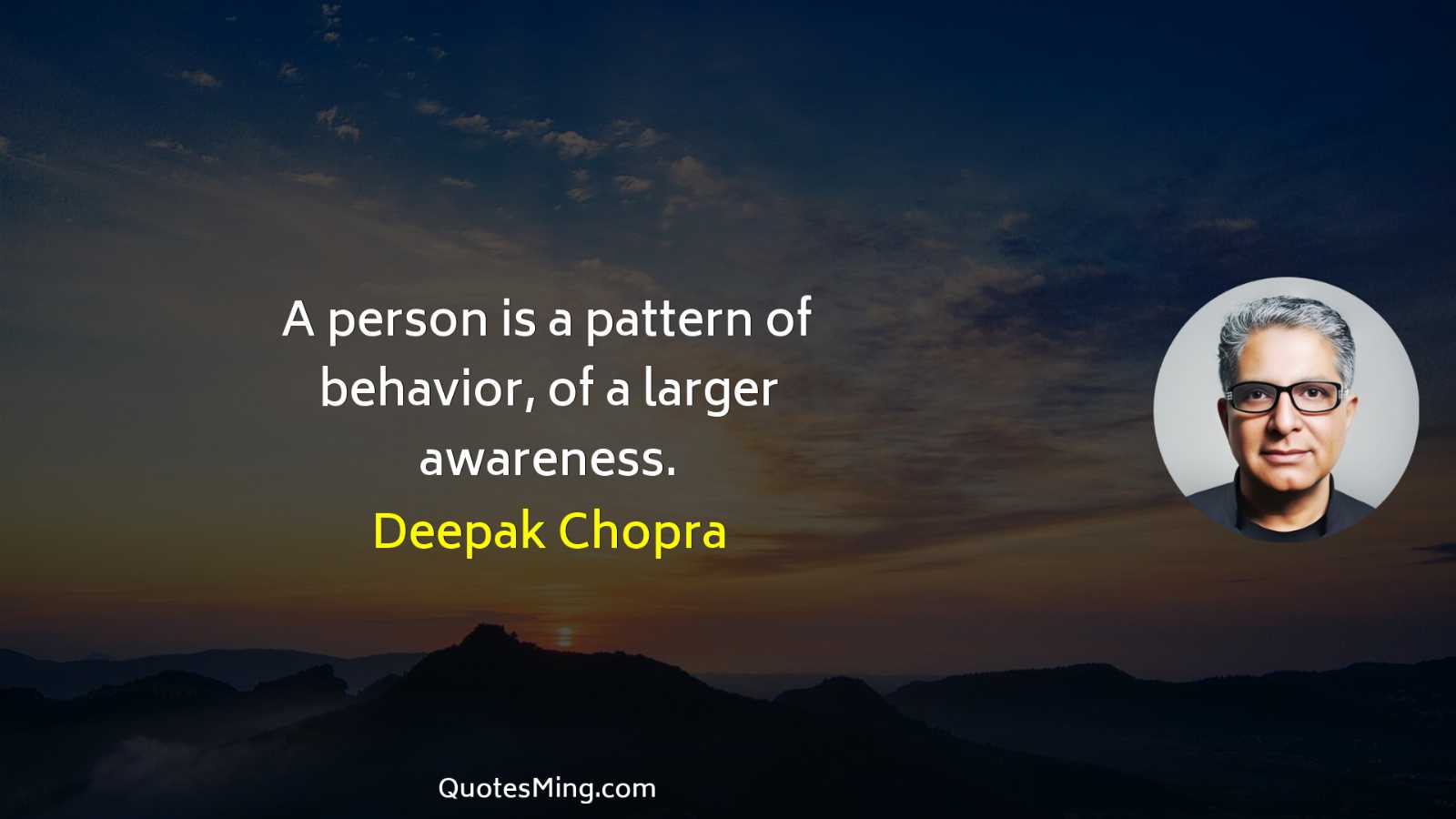 A person is a pattern of behavior of a larger