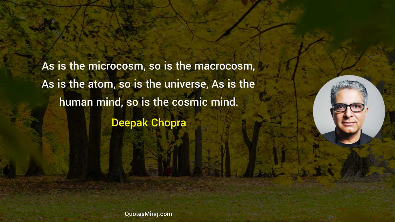 As is the microcosm so is the macrocosm As is