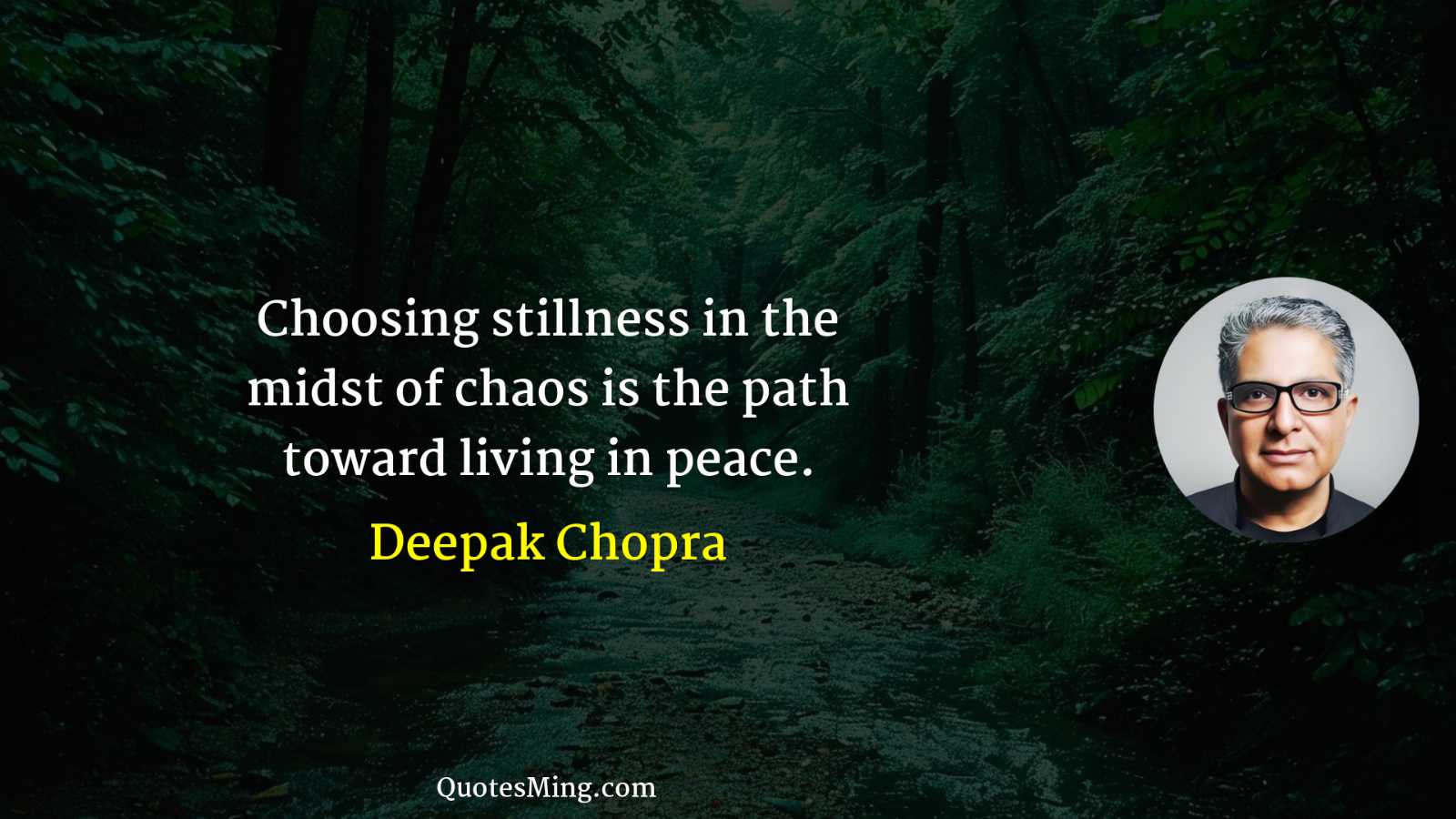 Choosing stillness in the midst of chaos is the path