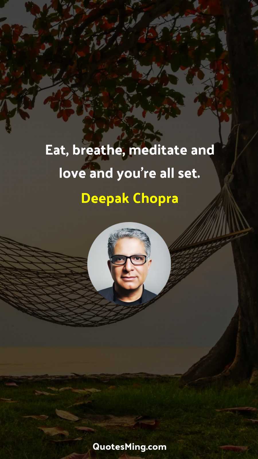 Eat breathe meditate and love and you’re all set