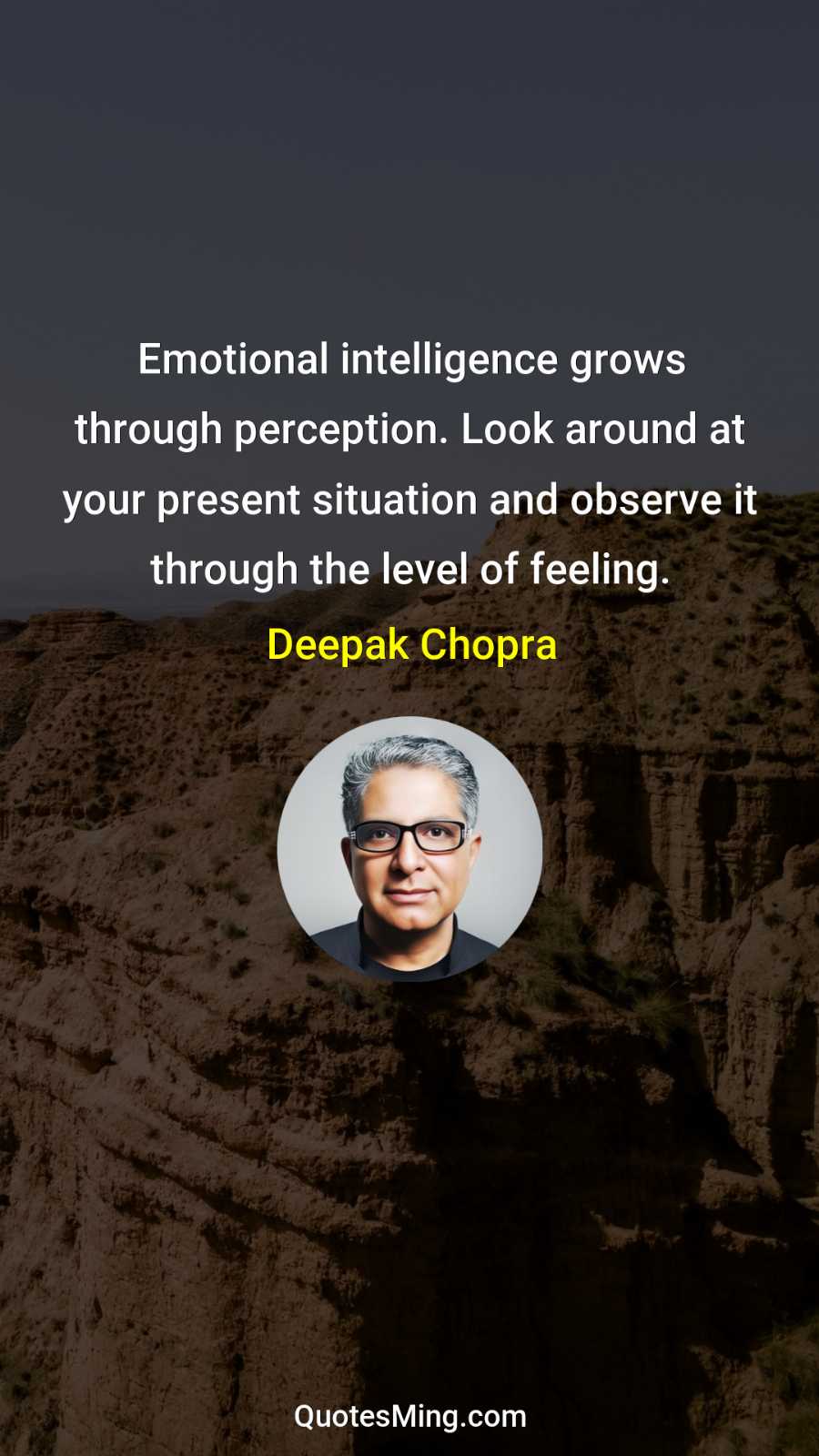 Emotional intelligence grows through perception Look around at your present