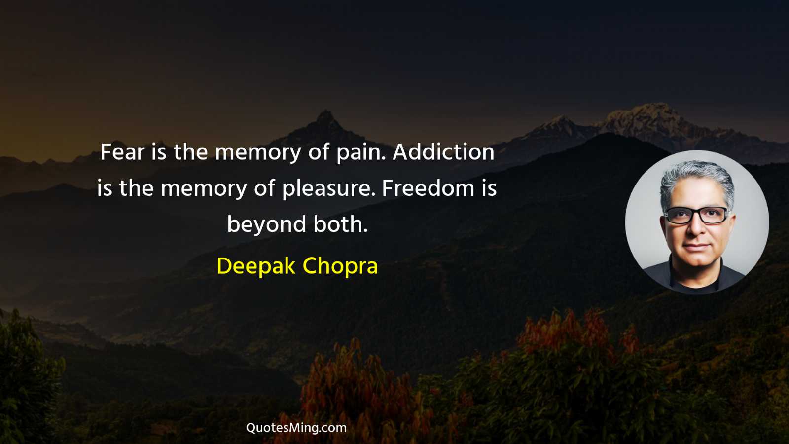 Fear is the memory of pain Addiction is the memory