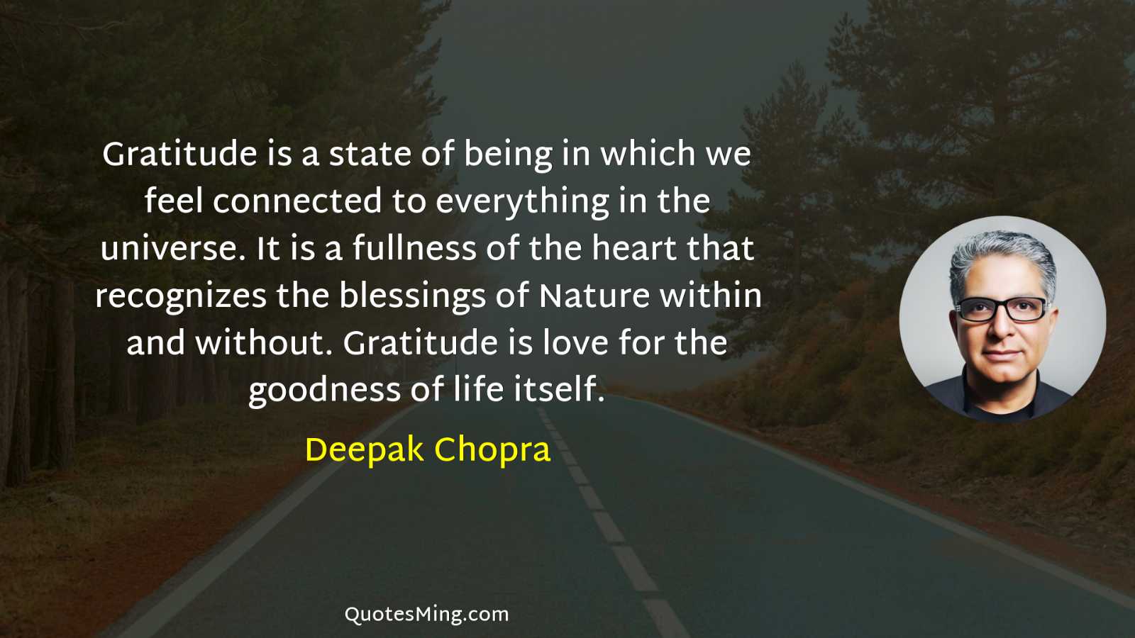 Gratitude is a state of being in which we feel