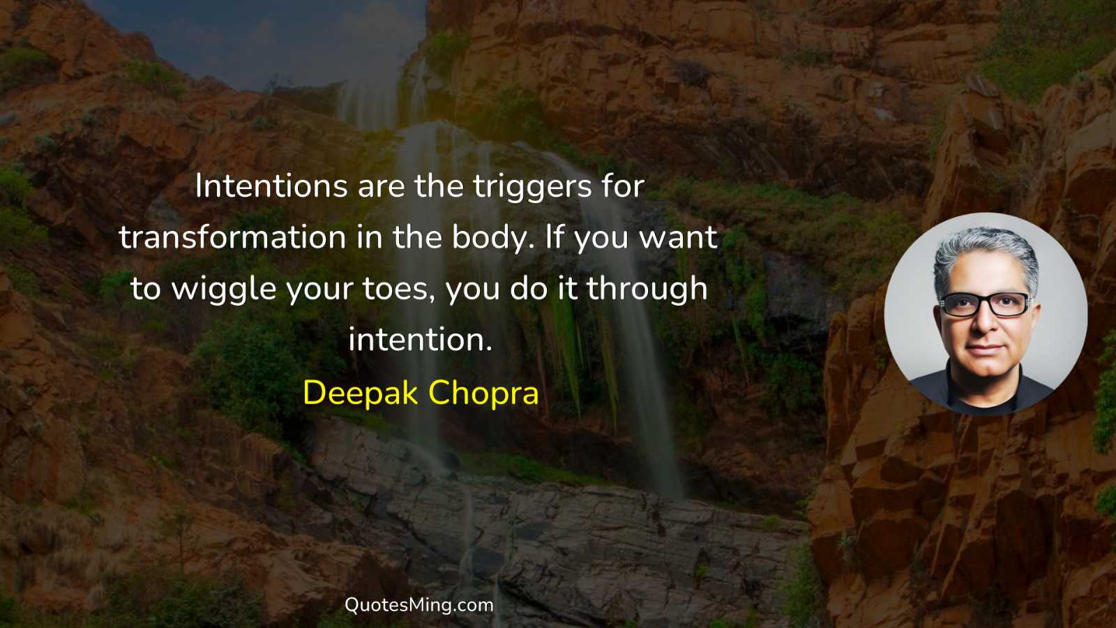 Intentions are the triggers for transformation in the body If