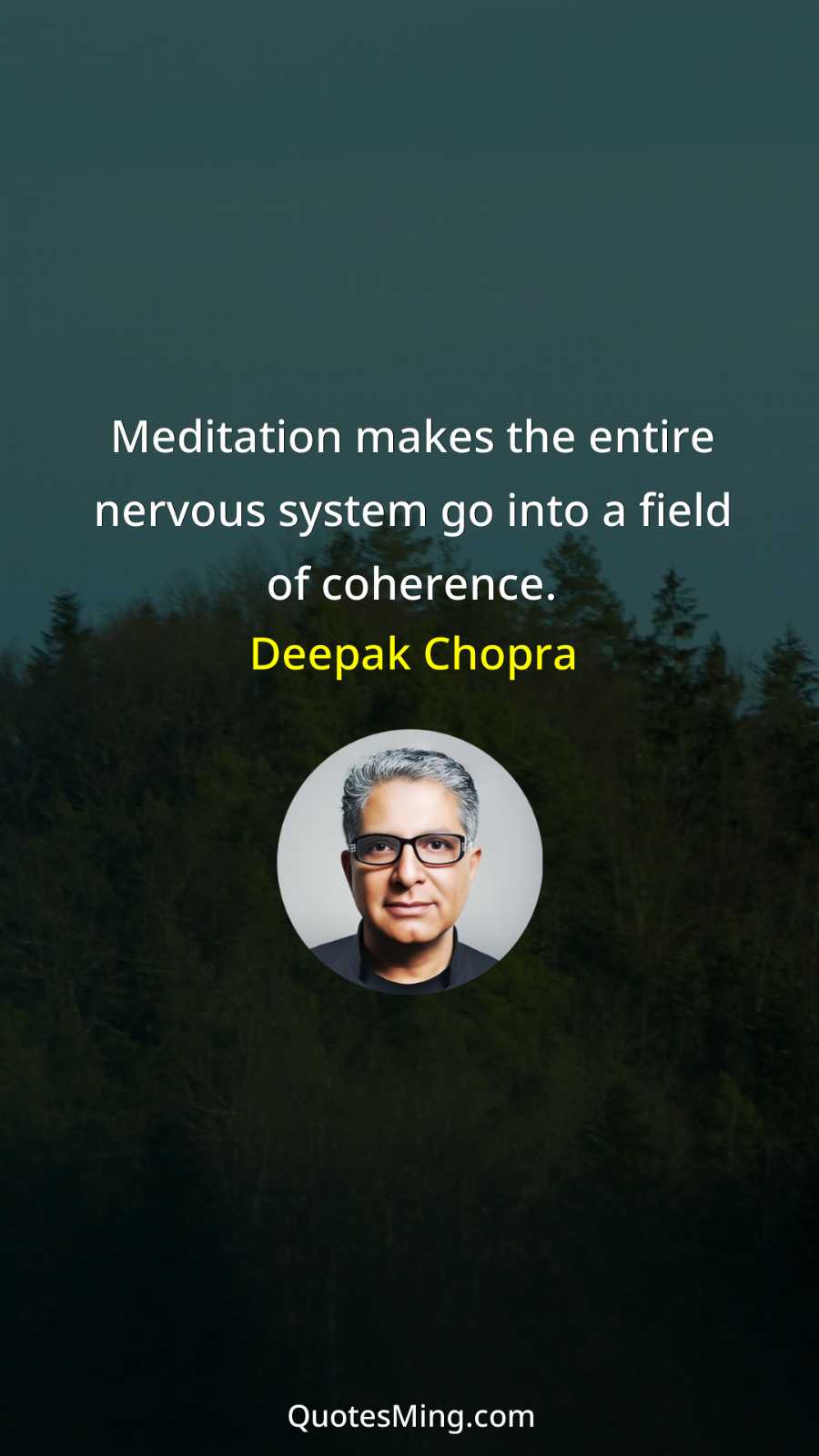 Meditation makes the entire nervous system go into a field