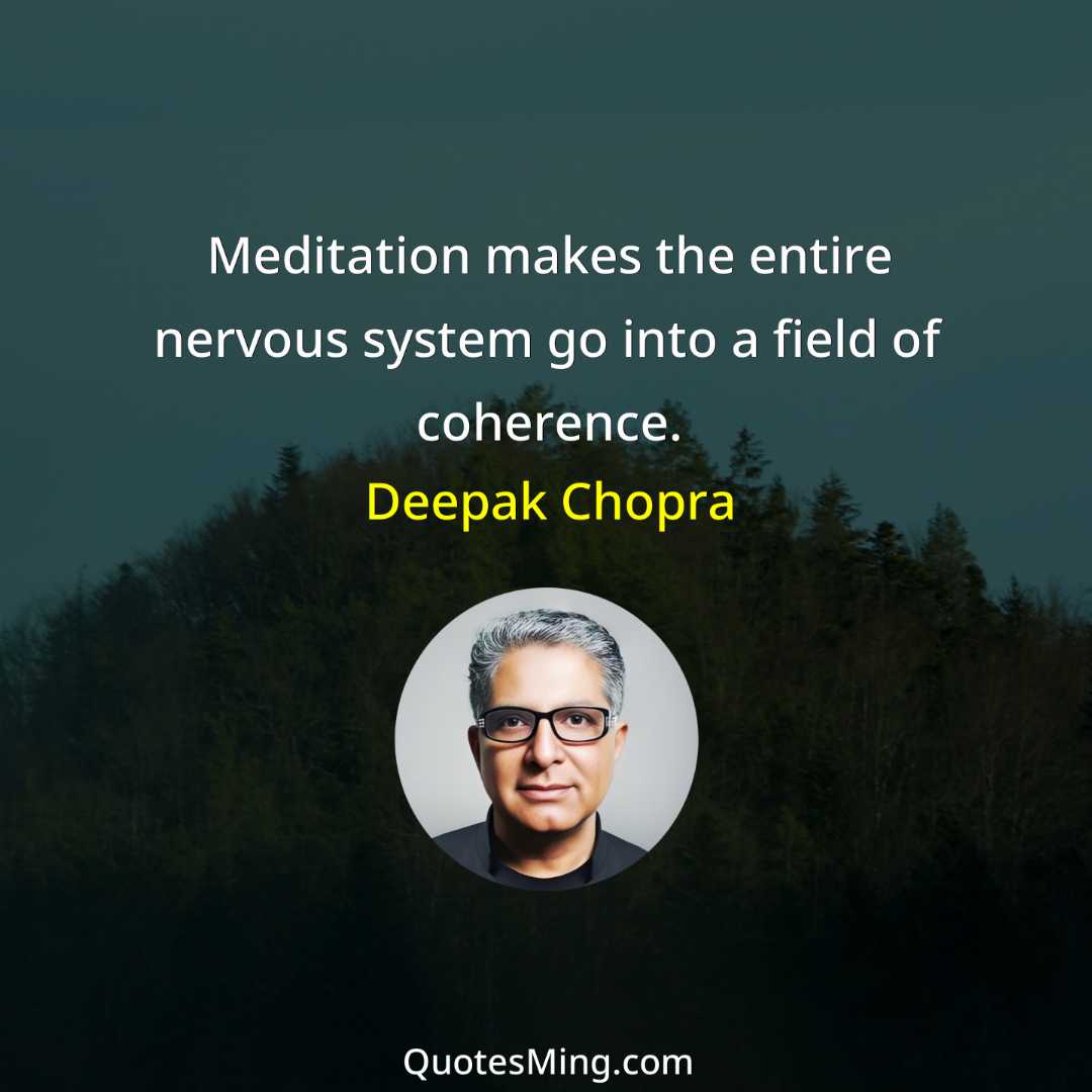 Meditation makes the entire nervous system go into a field