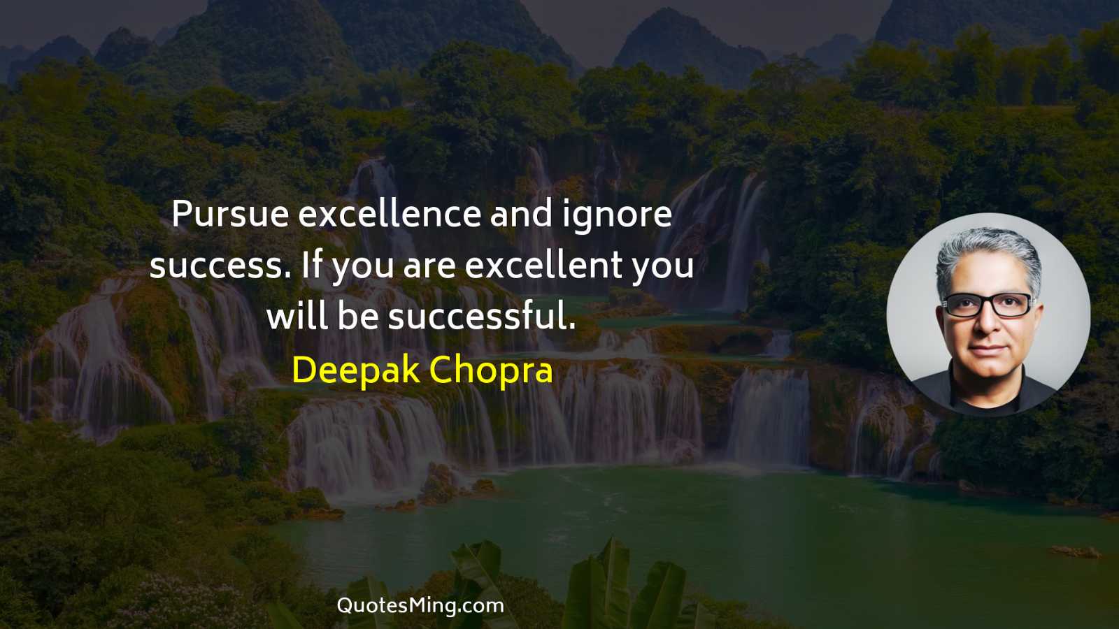 Pursue excellence and ignore success If you are excellent you