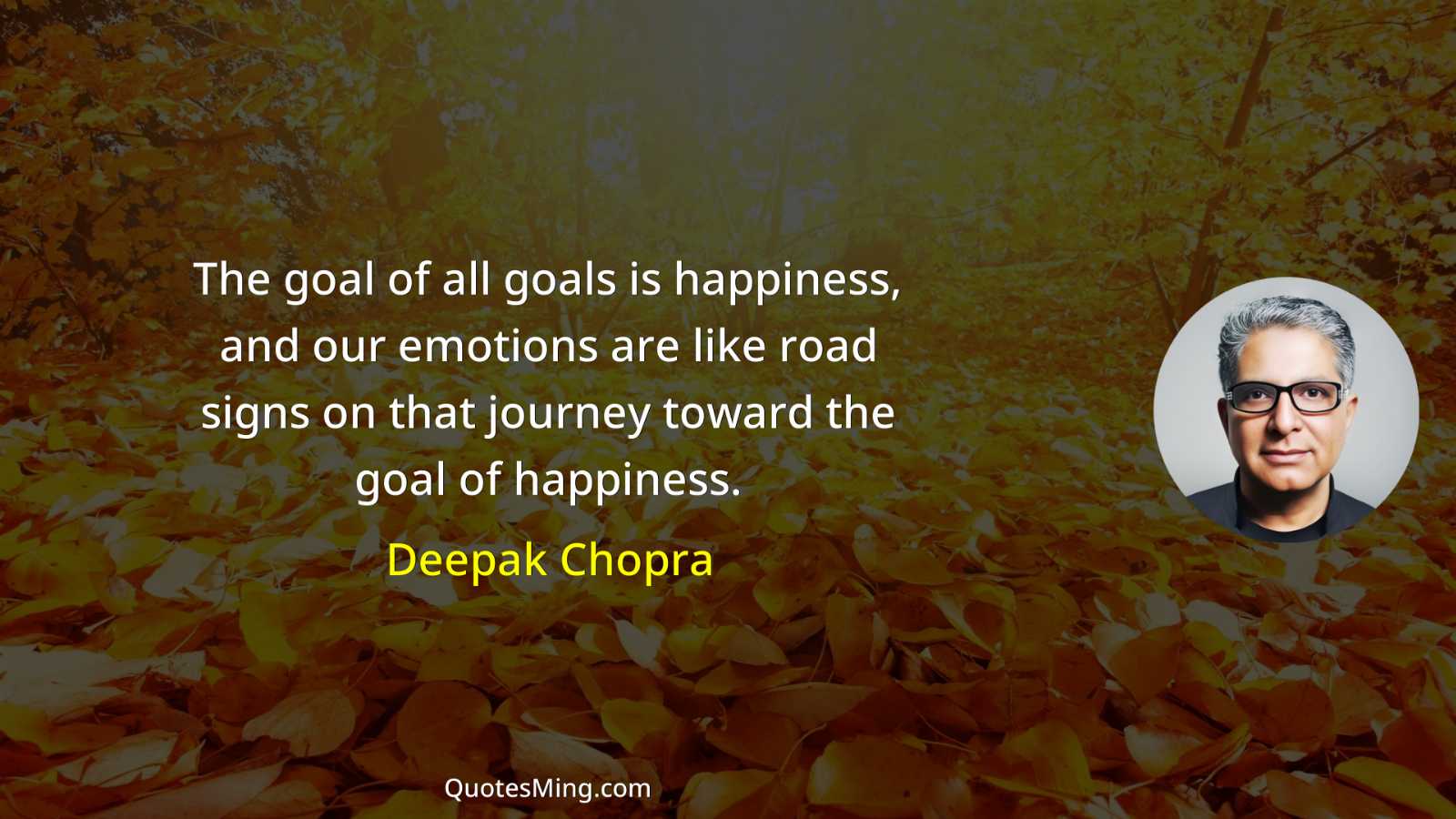 The goal of all goals is happiness and our emotions