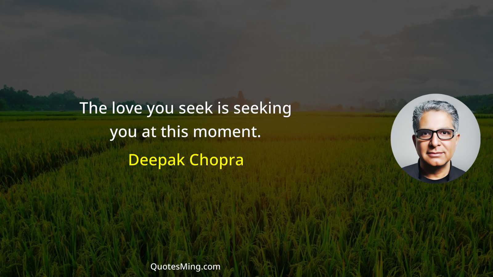 The love you seek is seeking you at this moment