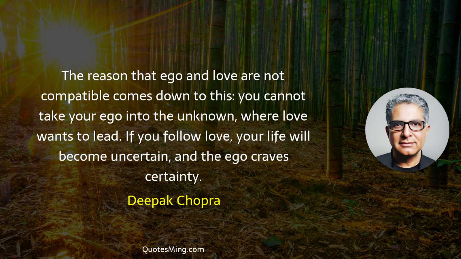 The reason that ego and love are not compatible comes