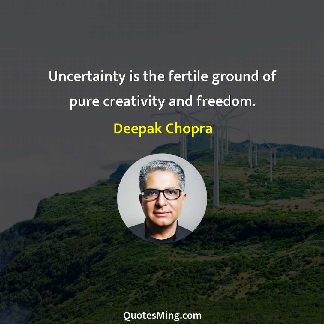 Uncertainty is the fertile ground of pure creativity and freedom