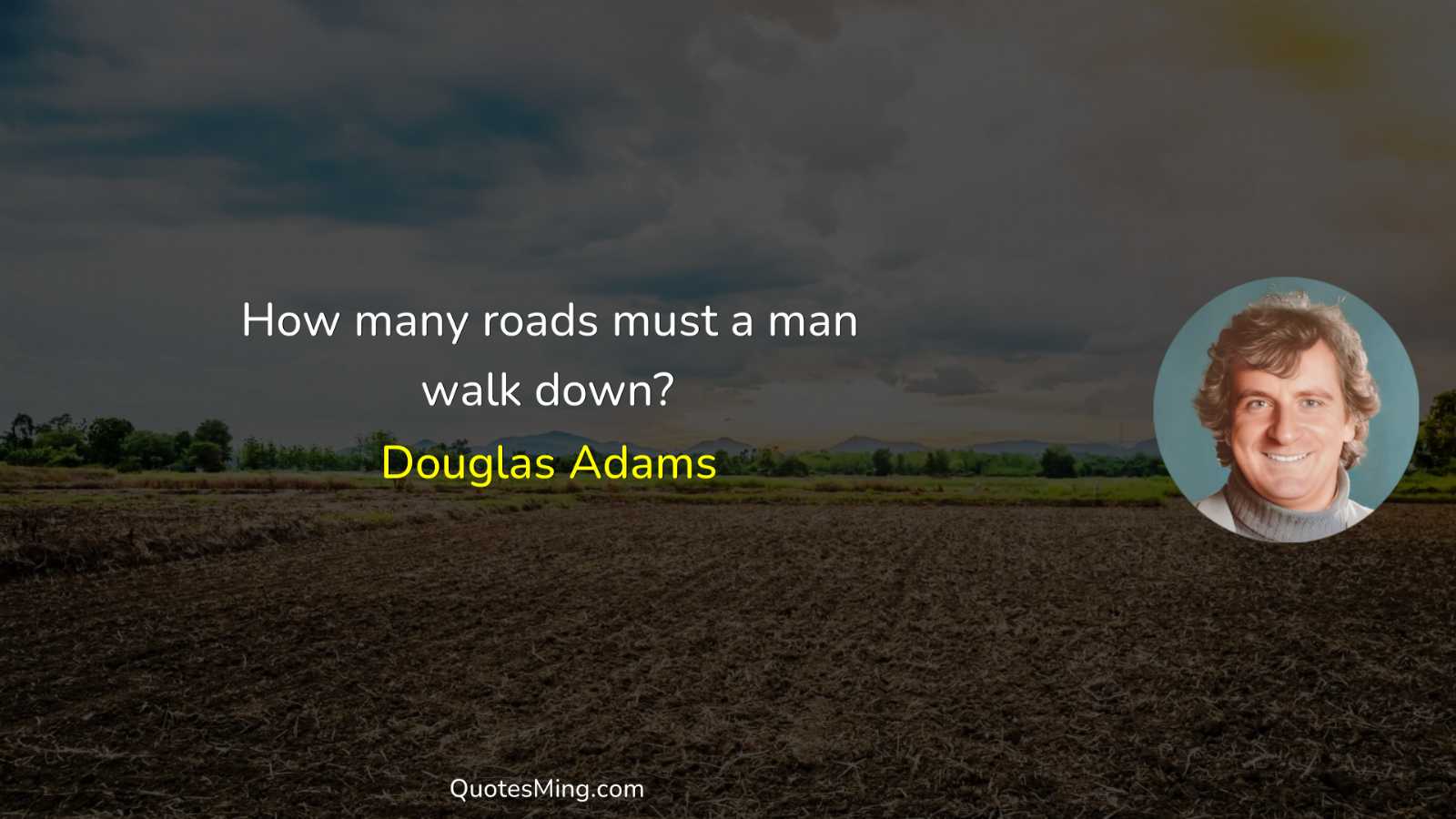 How many roads must a man walk down?