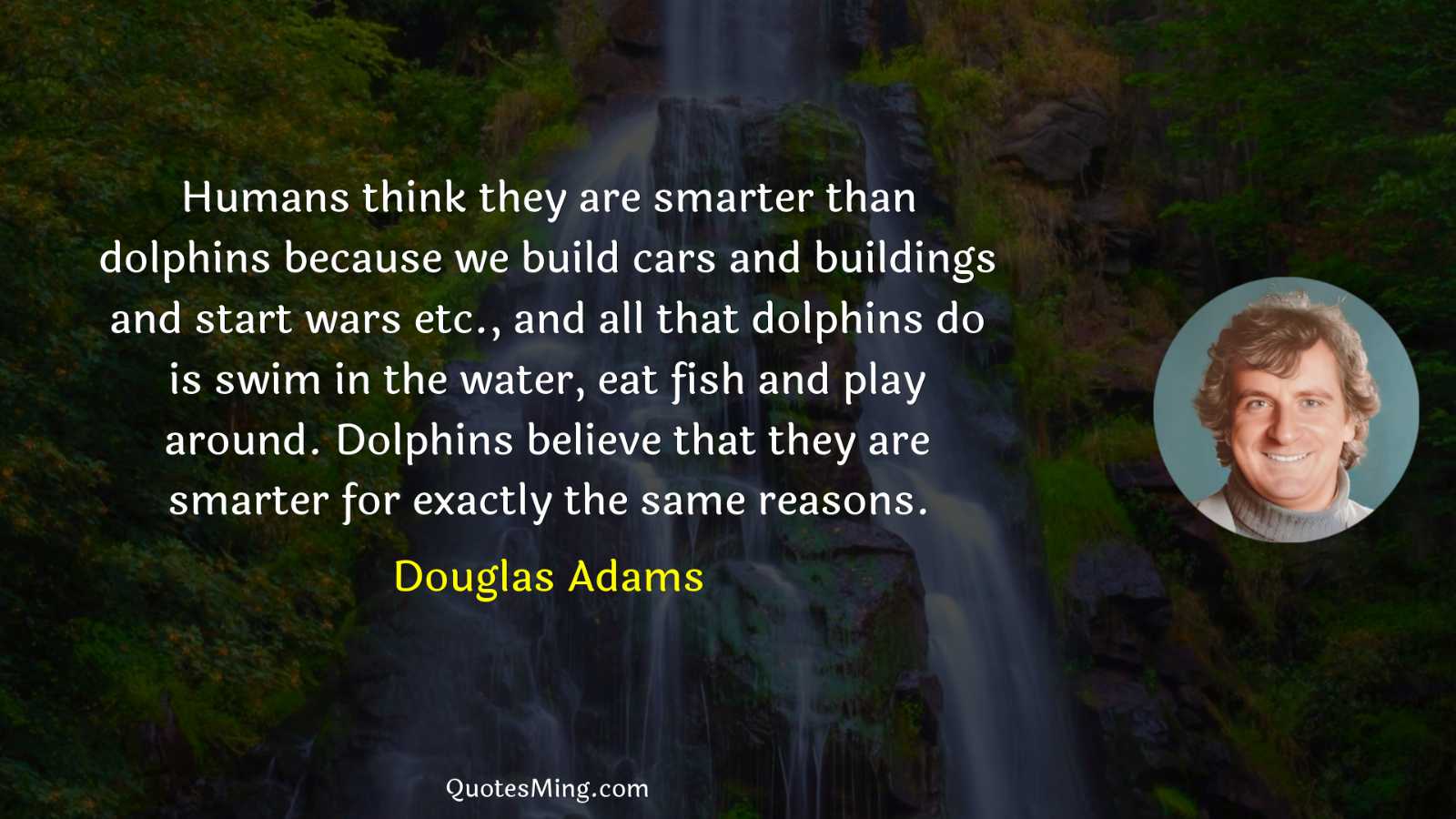 Humans think they are smarter than dolphins because we build