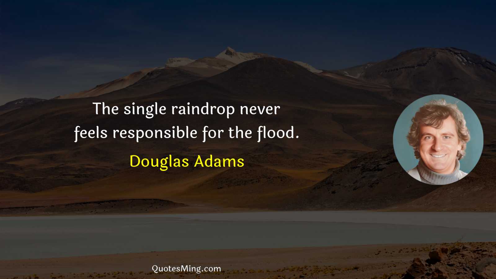 The single raindrop never feels responsible for the flood