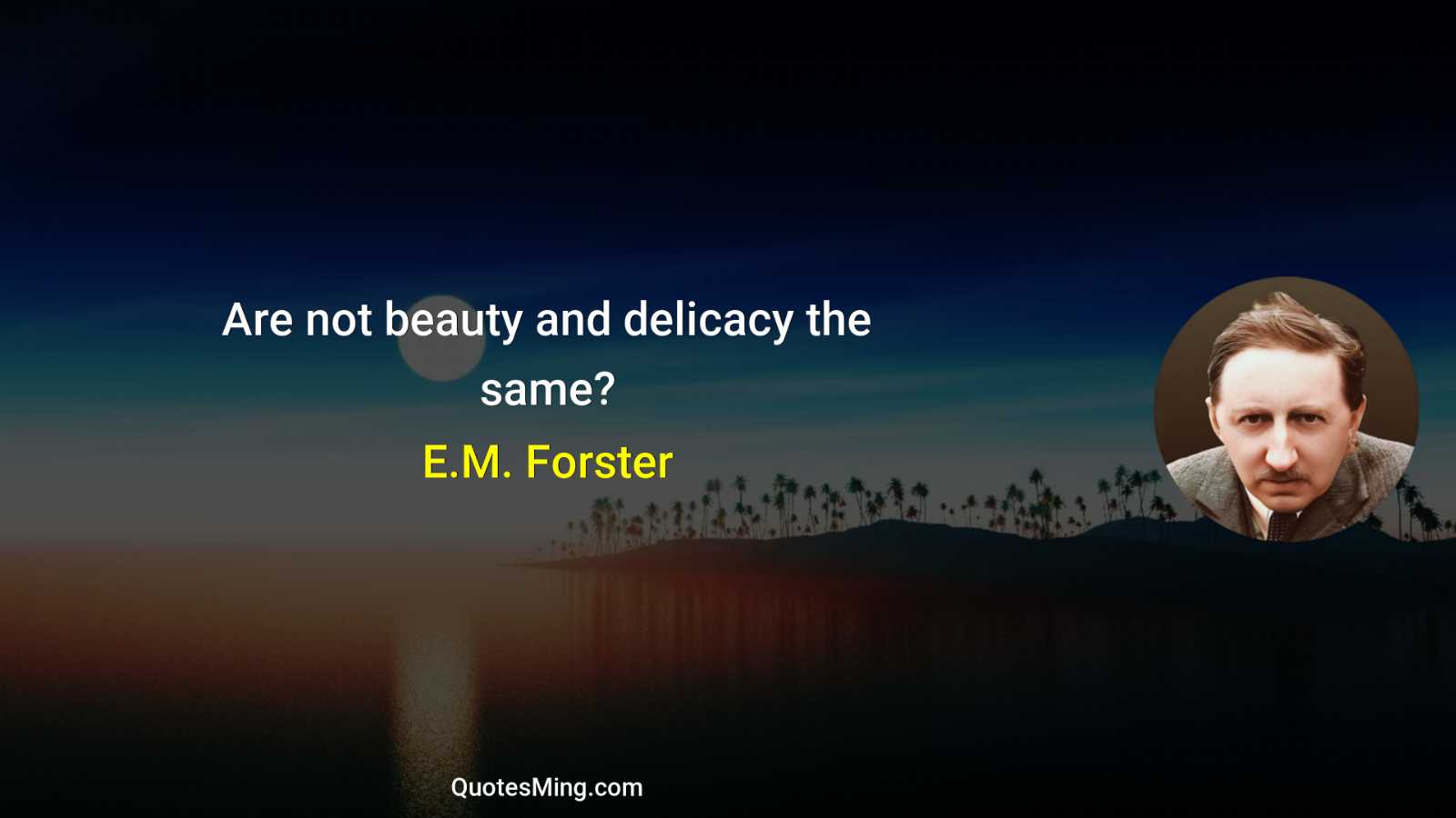 Are not beauty and delicacy the same?