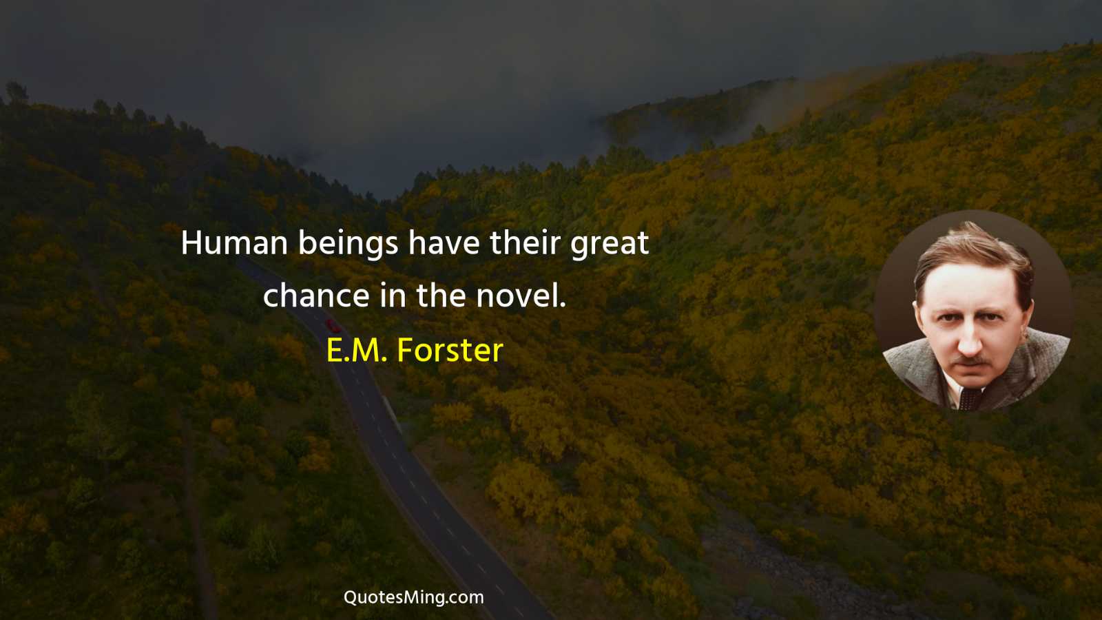 Human beings have their great chance in the novel