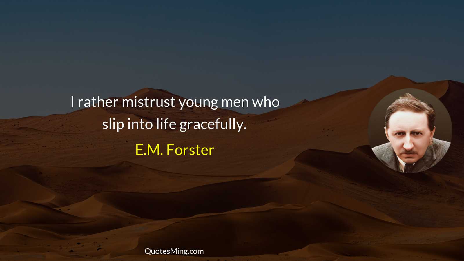 I rather mistrust young men who slip into life gracefully