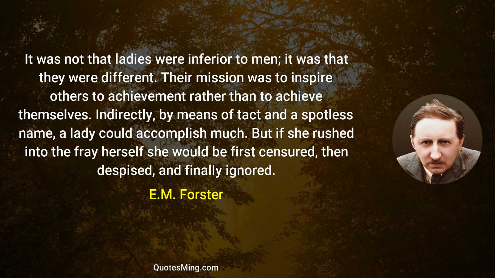 It was not that ladies were inferior to men; it