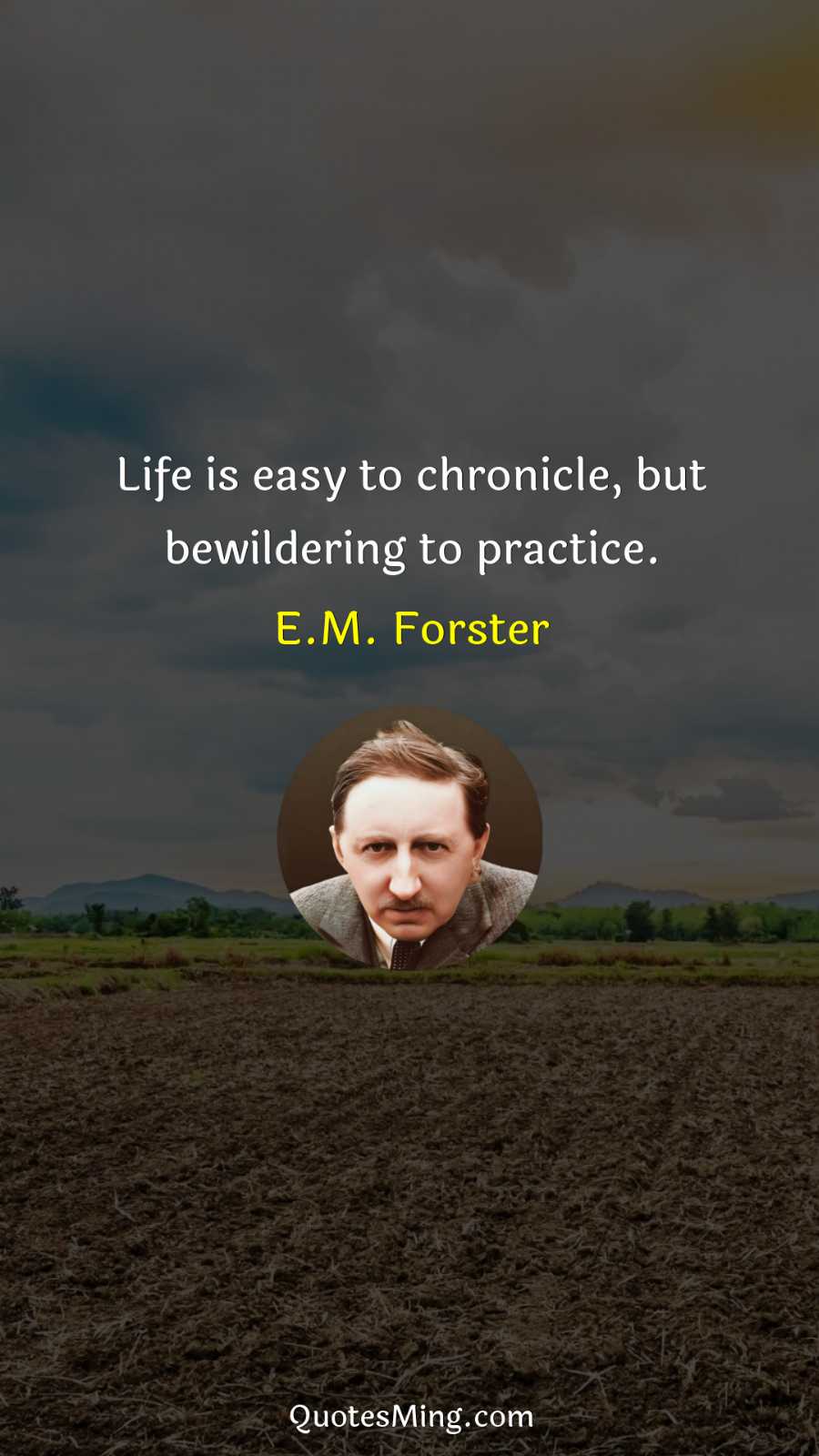 Life is easy to chronicle but bewildering to practice