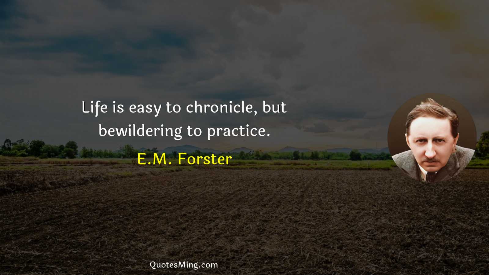 Life is easy to chronicle but bewildering to practice