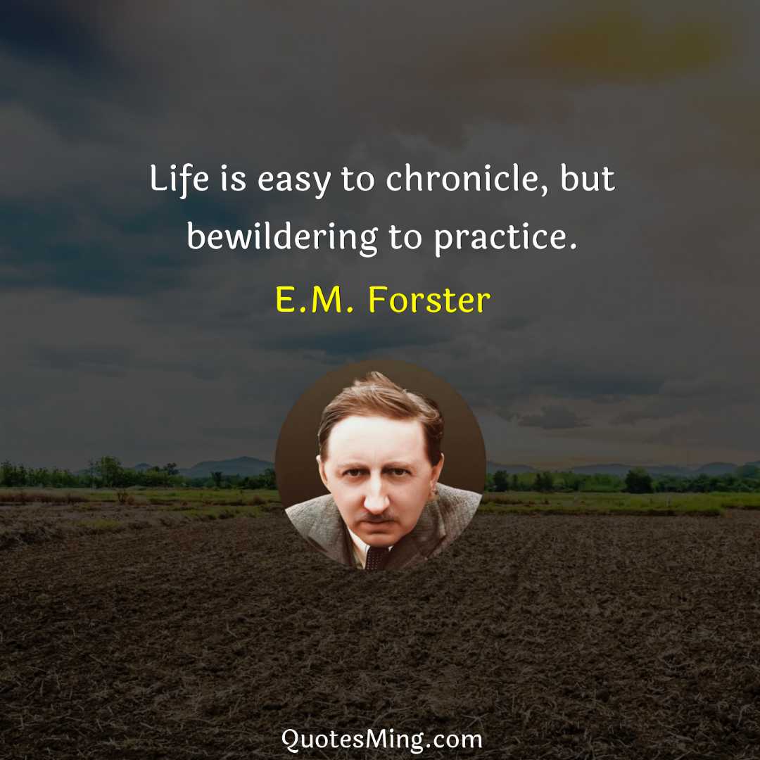 Life is easy to chronicle but bewildering to practice