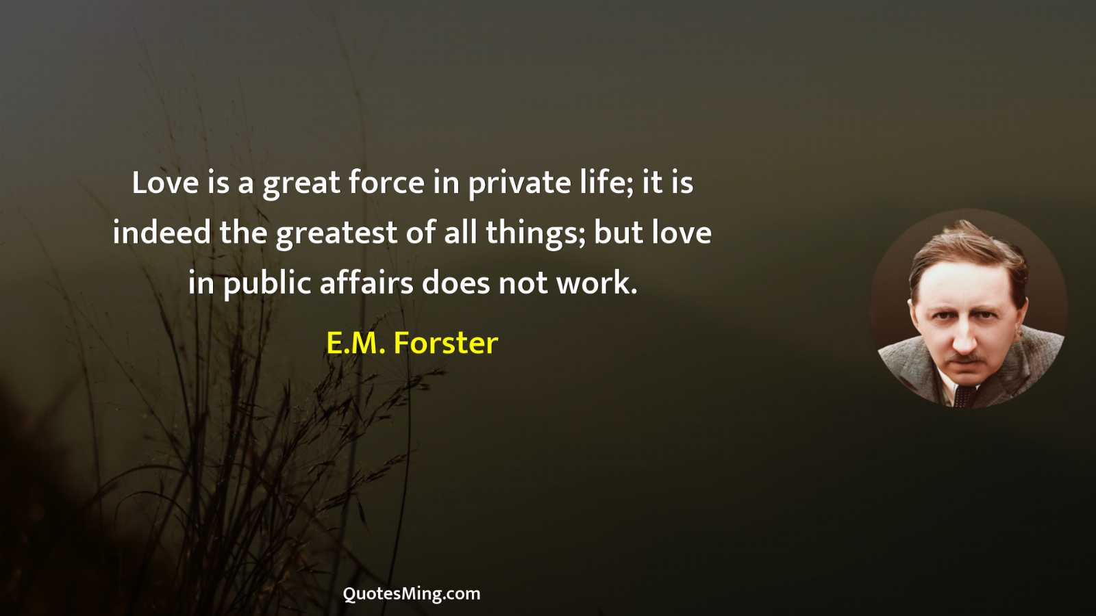 Love is a great force in private life; it is