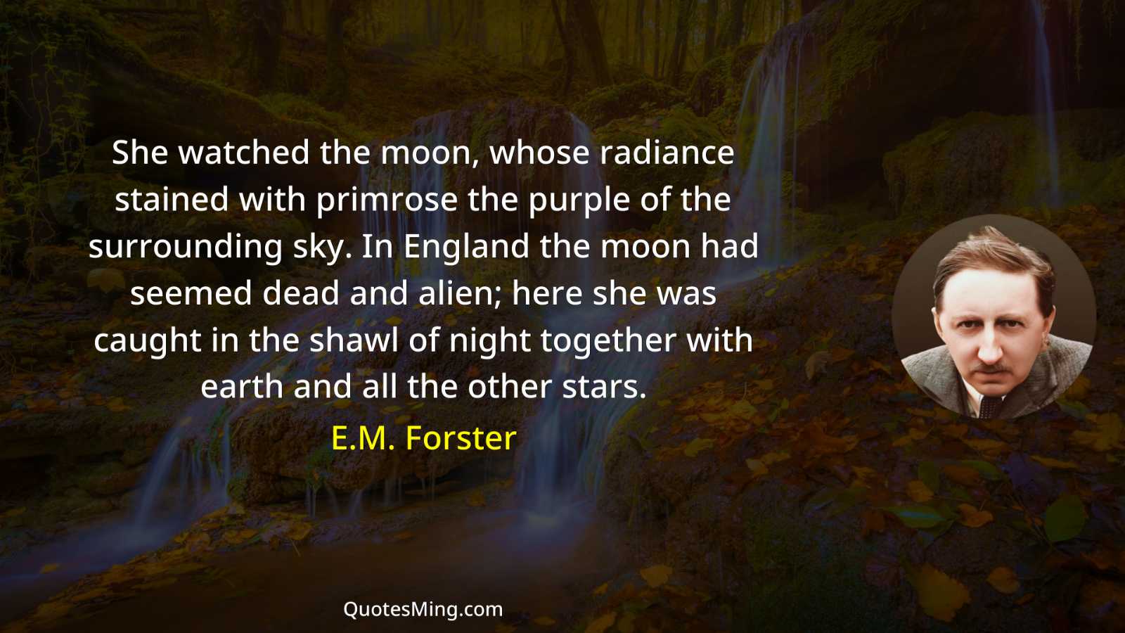 She watched the moon whose radiance stained with primrose the