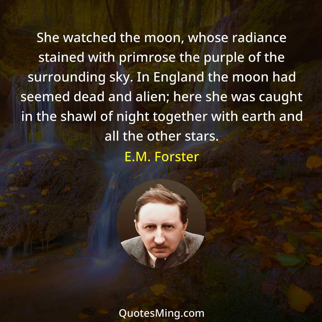 She watched the moon whose radiance stained with primrose the